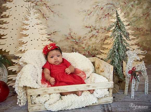 Navidad-9954