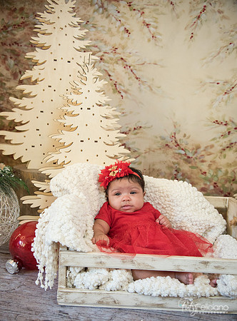 Navidad-9963