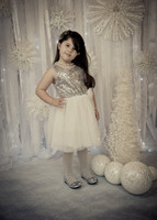 Navidad-4291