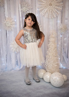 Navidad-4299