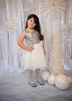 Navidad-4292