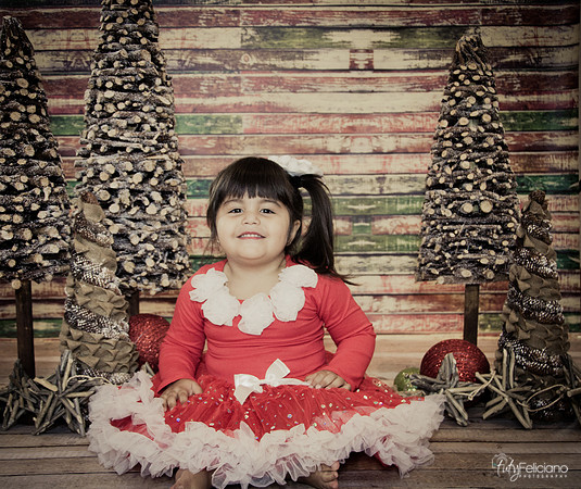 Navidad 2014-1637