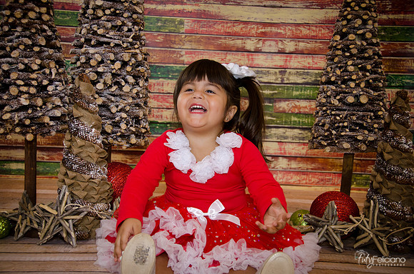 Navidad 2014-1609