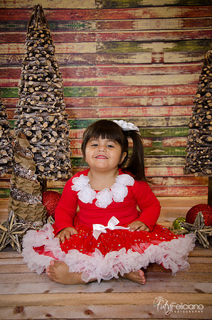 Navidad 2014-1646