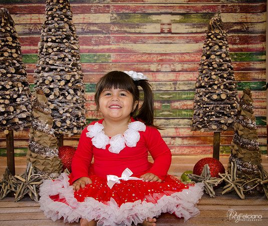 Navidad 2014-1636