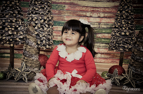 Navidad 2014-1607