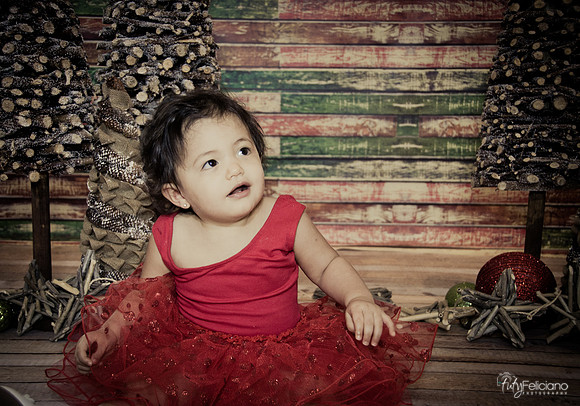 Navidad 2014-1689