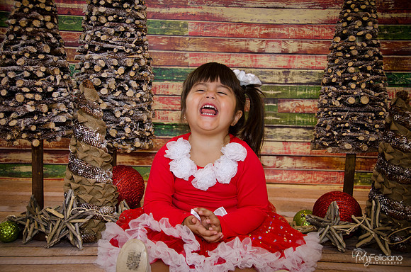 Navidad 2014-1611