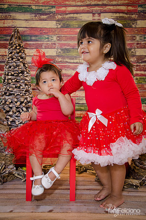 Navidad 2014-1761