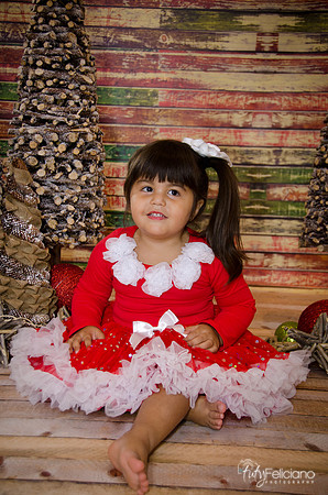 Navidad 2014-1651