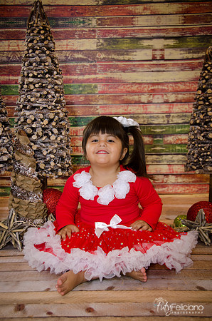 Navidad 2014-1644