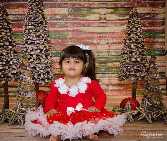 Navidad 2014-1639
