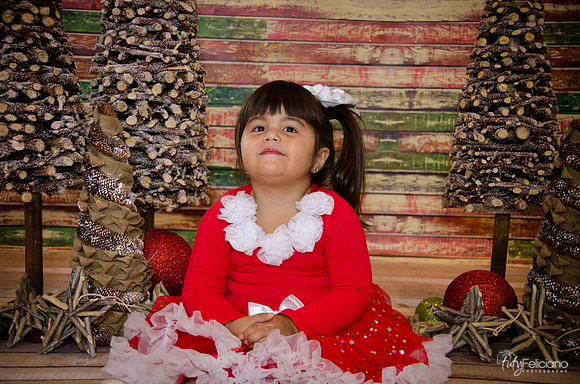 Navidad 2014-1619