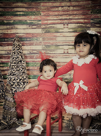 Navidad 2014-1749