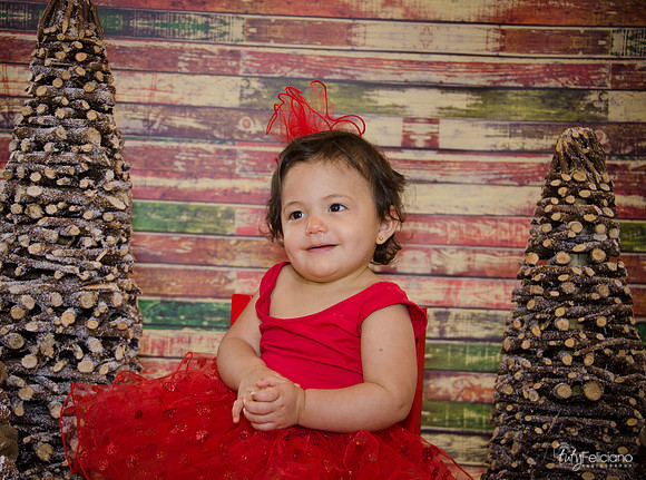 Navidad 2014-1721