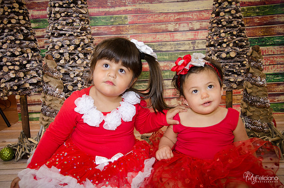 Navidad 2014-1543