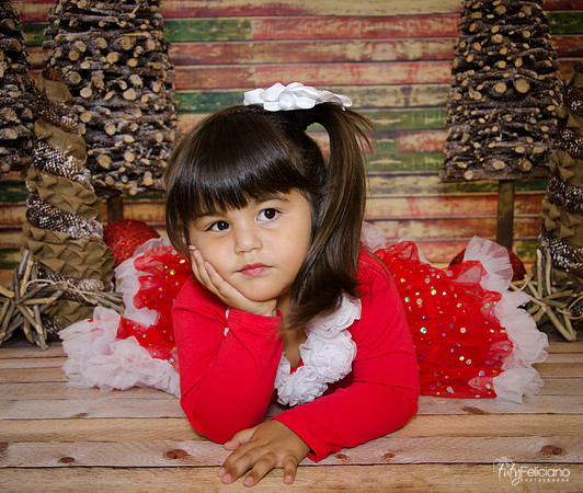 Navidad 2014-1658