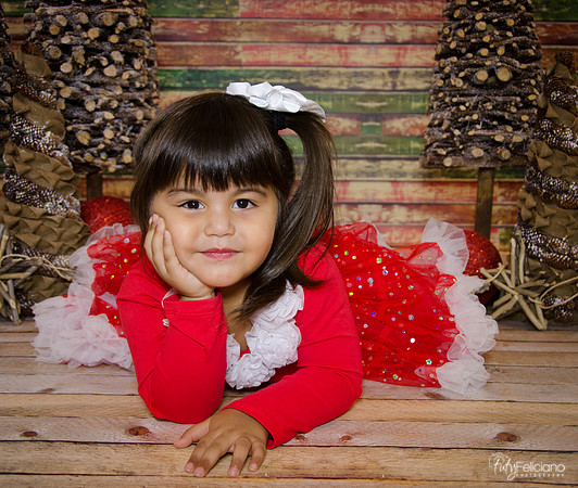 Navidad 2014-1670