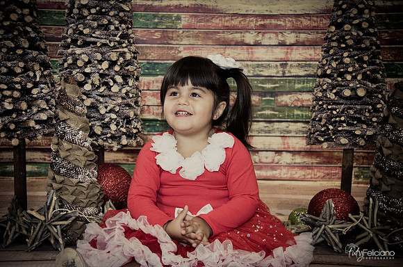 Navidad 2014-1613
