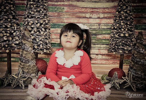 Navidad 2014-1624