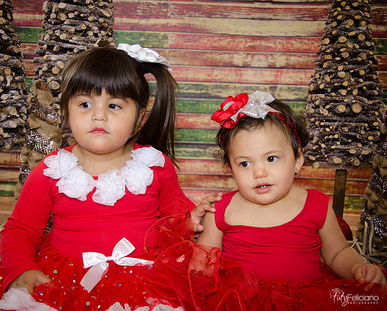 Navidad 2014-1564