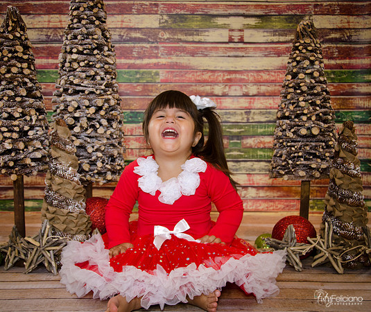Navidad 2014-1633
