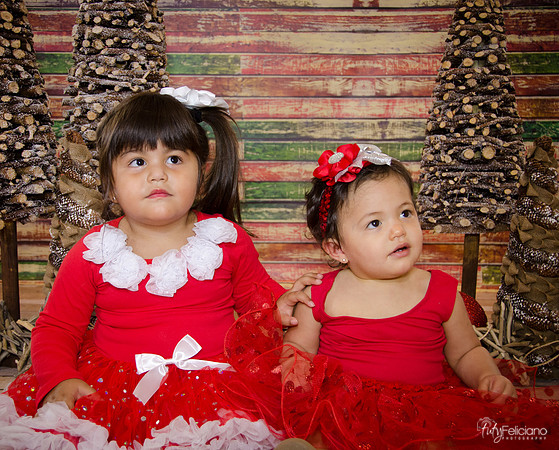Navidad 2014-1571