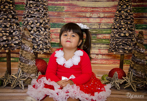 Navidad 2014-1622