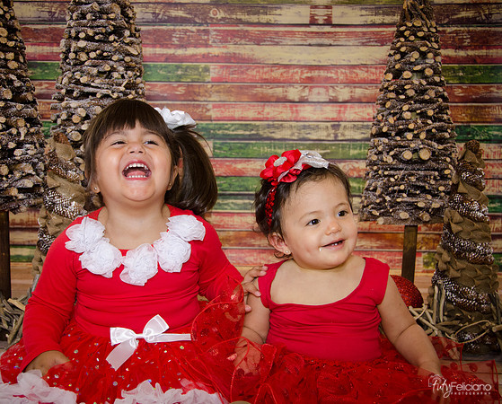 Navidad 2014-1579