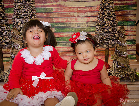 Navidad 2014-1589
