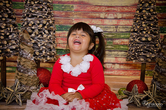 Navidad 2014-1616