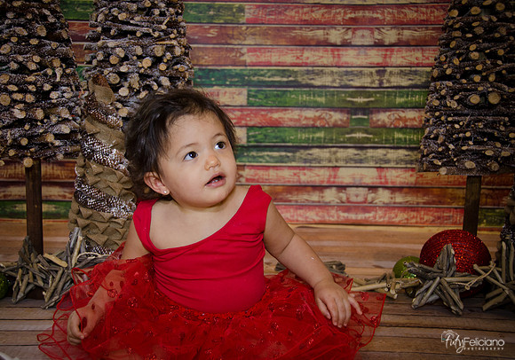 Navidad 2014-1688