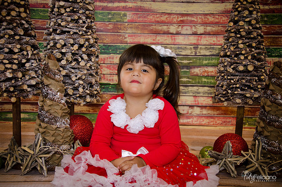 Navidad 2014-1620