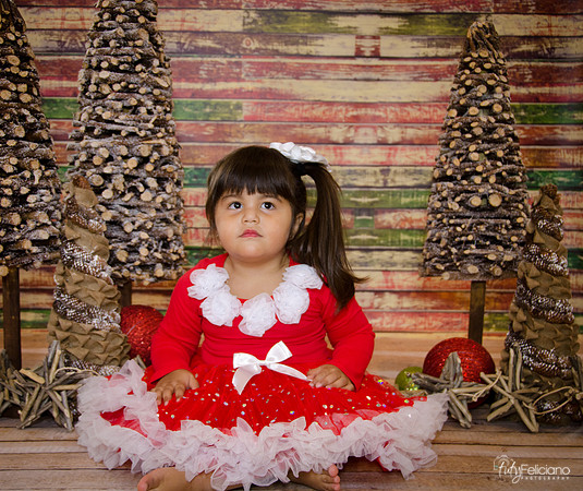 Navidad 2014-1629