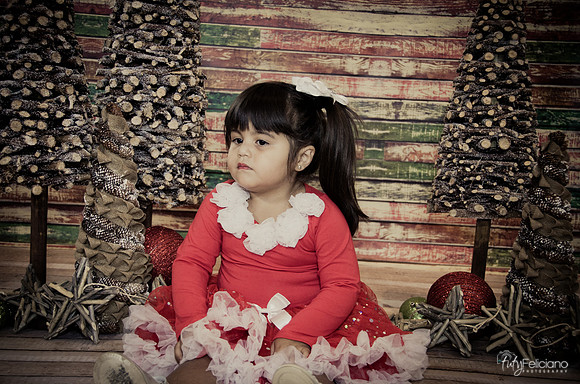 Navidad 2014-1599