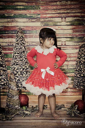 Navidad 2014-1781