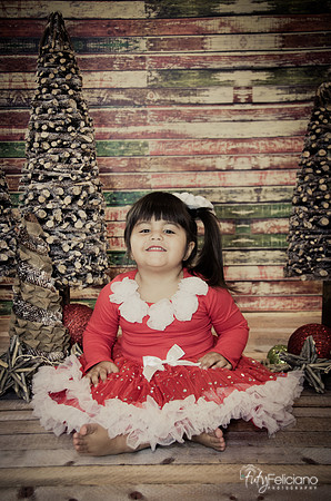 Navidad 2014-1645