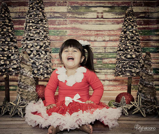 Navidad 2014-1634