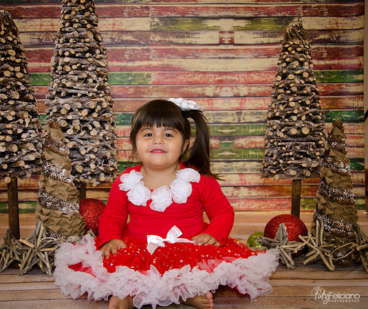 Navidad 2014-1638