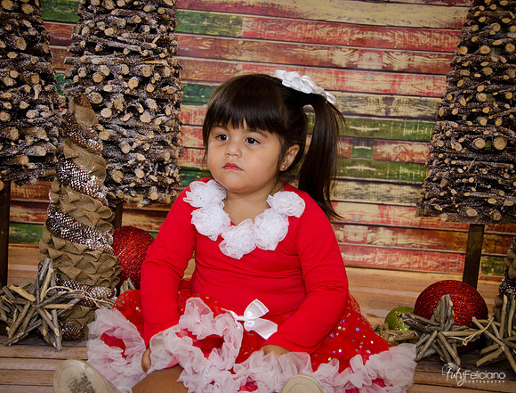 Navidad 2014-1594
