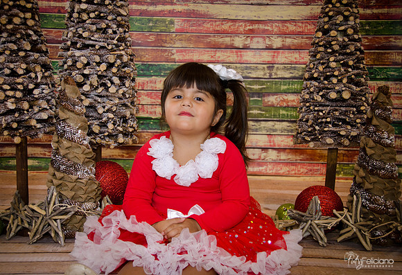 Navidad 2014-1623