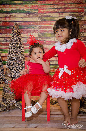 Navidad 2014-1762