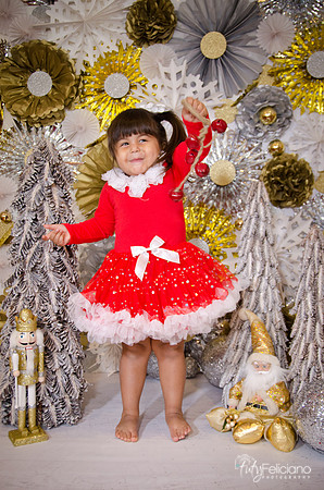 Navidad 2014-1788