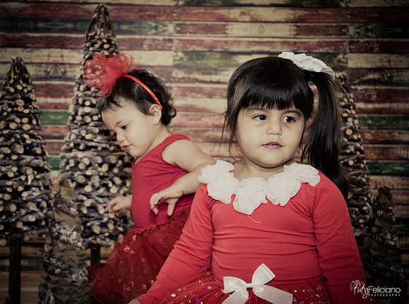 Navidad 2014-1700
