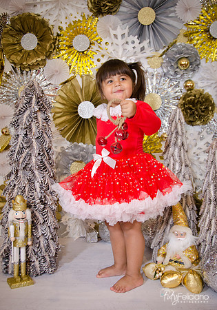 Navidad 2014-1803