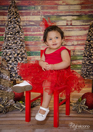 Navidad 2014-1730