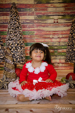 Navidad 2014-1647
