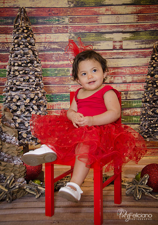 Navidad 2014-1729
