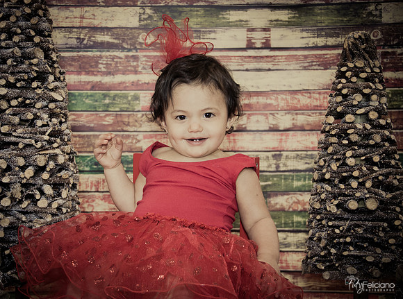 Navidad 2014-1741