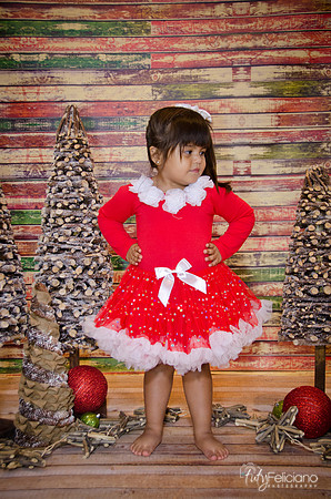 Navidad 2014-1782